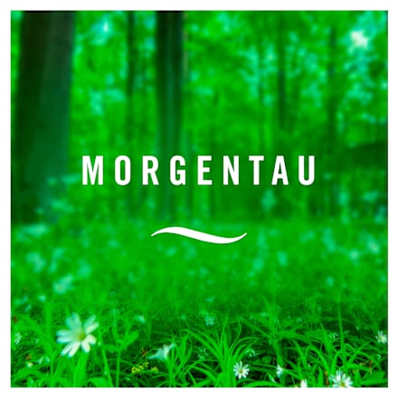 Duftspray Lufterfrischer Extra Stark Morgentau Febreze