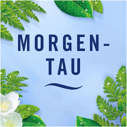 Duftspray Lufterfrischer Extra Stark Morgentau Febreze