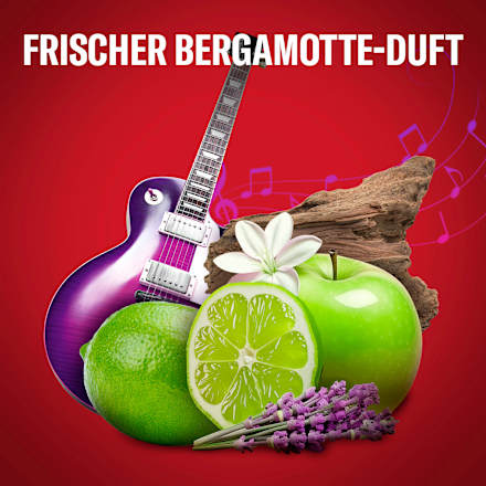 Deostick Rockstar Old Spice