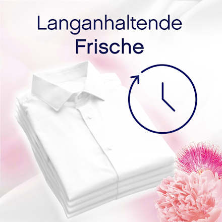 Weichspüler Light Pfingstrose & Seidenbaumblüte 38WL Lenor