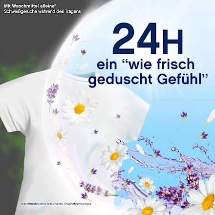 Weichspüler Ein Tag in der Provence Flasche 46WL Lenor