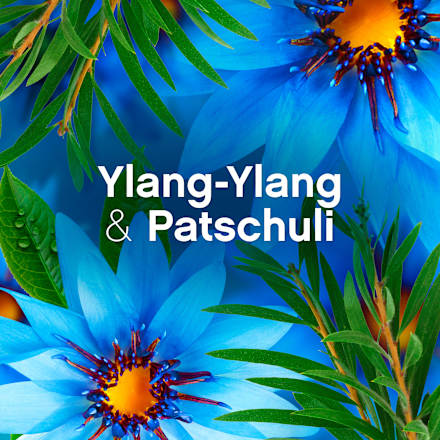 Weichspüler Meeresbrise 56WL Lenor