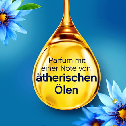 Weichspüler Meeresbrise 56WL Lenor