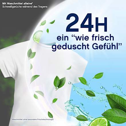 Weichspüler Freshness Guard 38WL Lenor