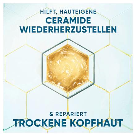 Shampoo Derma x Pro Hydra Pflege head&shoulders