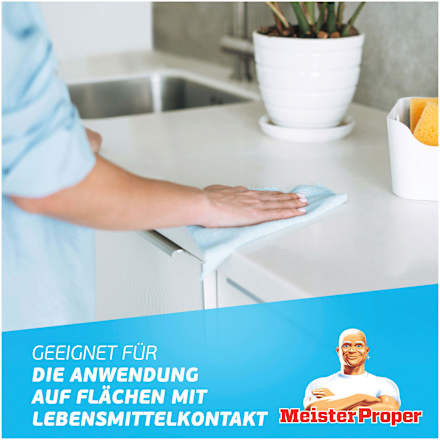 Fettentferner Meister Proper