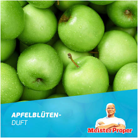 Allzweckreiniger Antibakteriell Meister Proper