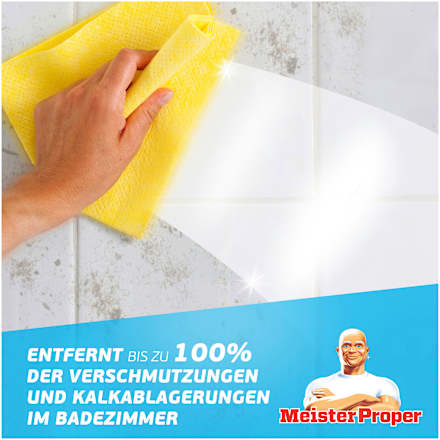 Badreiniger Spray Meister Proper