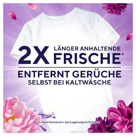 Colorwaschmittel Pulver Blütentraum  Lenor