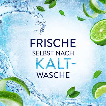 Weichspüler Freshness Guard Lenor