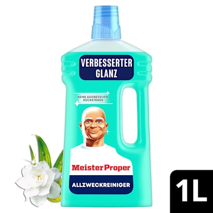 Allzweckreiniger Frühlingserwachen Meister Proper