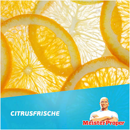 Allzweckreiniger Citrusfrische  Meister Proper