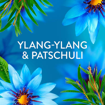 Weichspüler Meeresbrise, 42WL Lenor