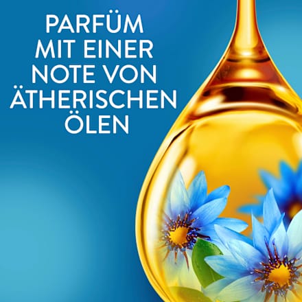 Weichspüler Meeresbrise, 42WL Lenor