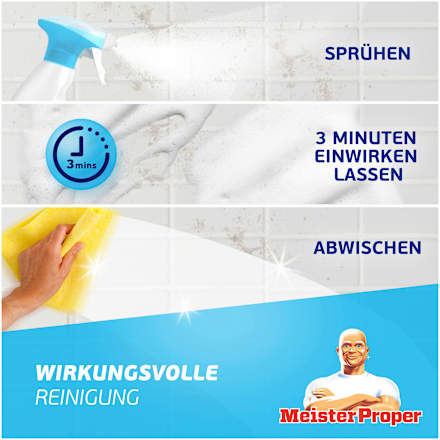 Badreiniger Spray Meister Proper