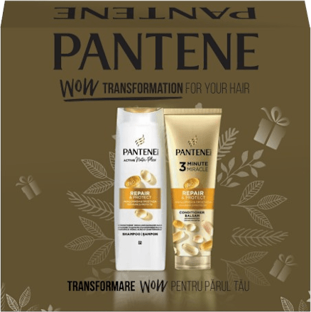 Repair & Protect poklon paket PANTENE PRO-V