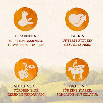 Nassfutter Katze Land & Sea Collection Naturally Mix, Senior, Multipack (12x85 g) IAMS