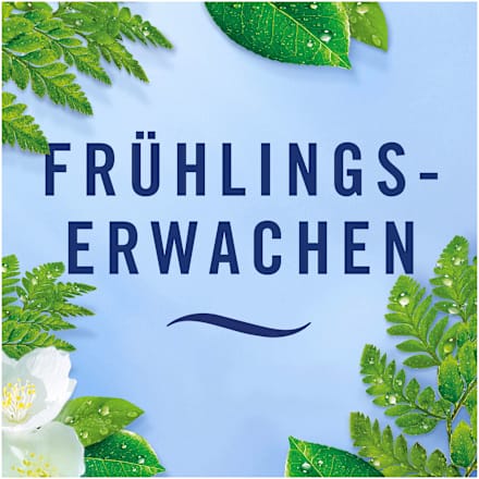 Lufterfrischer Car Frühlingserwachen Febreze