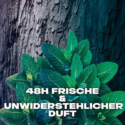 Black Night Deodorant Bodyspray AXE