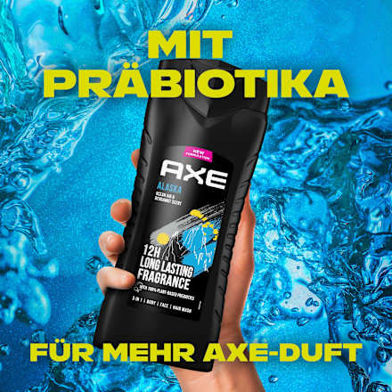 Dusche Alaska  AXE