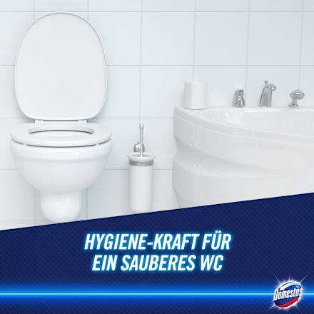 Bleichmittel & Schimmelentferner Hygiene Reiniger Domestos
