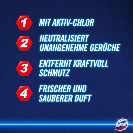 Bleichmittel & Schimmelentferner Hygiene Reiniger Domestos