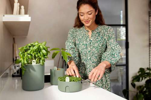 Anzuchttopf "Magic Microgreens" aus recyceltem Plastik, Kresse, grün (17x7 cm) Dekorieren & Einrichten