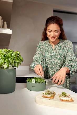 Anzuchttopf "Magic Microgreens" aus recyceltem Plastik, Kresse, grün (17x7 cm) Dekorieren & Einrichten