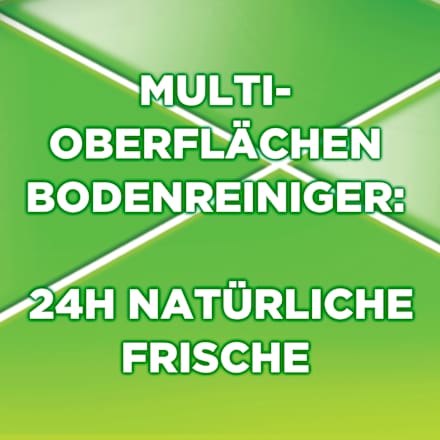 Allzweckreiniger Frühlingsblumen AJAX