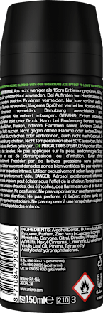 Deospray Mojito Cedarwood AXE