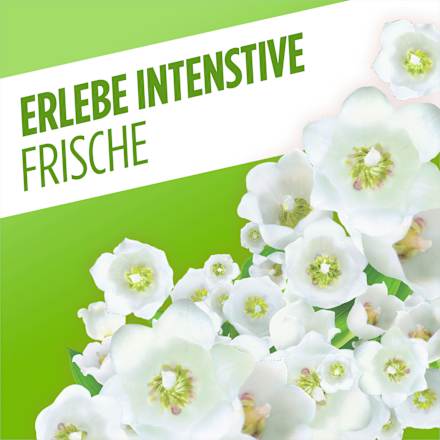 Allzweckreiniger Frühlingsblumen  AJAX