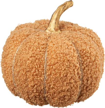 Stoffkürbis Teddyfell, beige Dekorieren & Einrichten