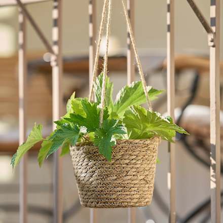 Hängekorb für Pflanzen Dekorieren & Einrichten