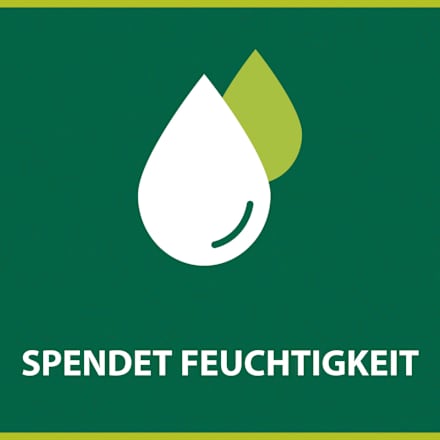 Flüssigseife Milch & Honig, Naturals Palmolive