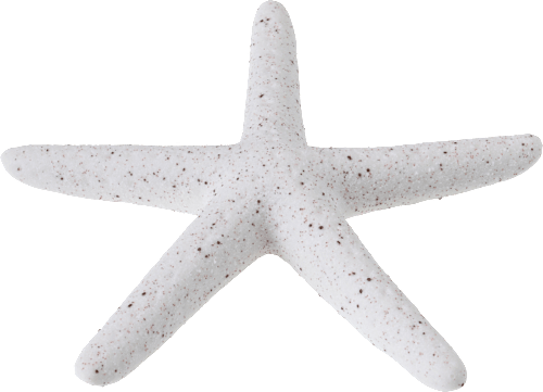 Seestern, Sandoptik Dekorieren & Einrichten