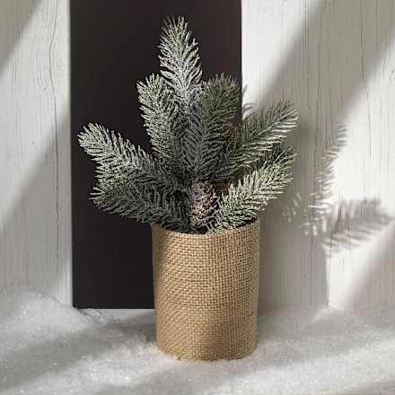 Tannenbaum im Jutetopf mit Zapfen Dekorieren & Einrichten