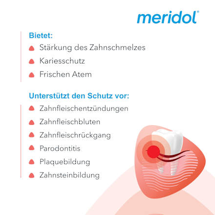 Mundspülung Rundumpflege antibakteriell meridol