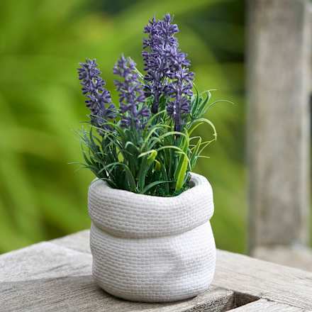 Lavendel im Zementtopf Dekorieren & Einrichten