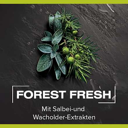 MEN Dusche Forest Fresh Palmolive