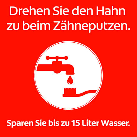 Zahnpasta Kräuter Dentagard