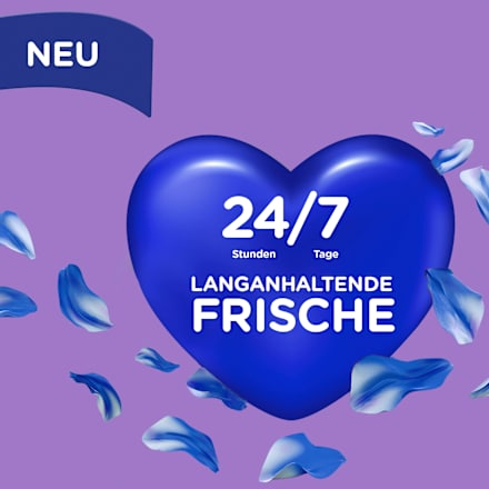 Weichspüler Traumfrisch 59WL Softlan