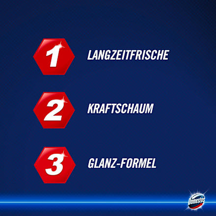 WC-Stein Blauspüler Ocean Domestos