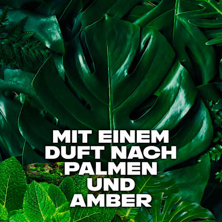 Bodyspray Jungle Fresh Palm Leaves & Amber Scent AXE
