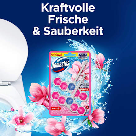 WC-Stein Pink Magnolie Domestos