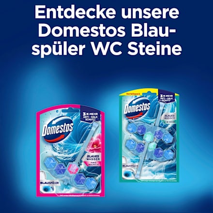 WC-Stein Blauspüler Ocean Domestos