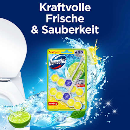 WC-Stein Limette  Domestos