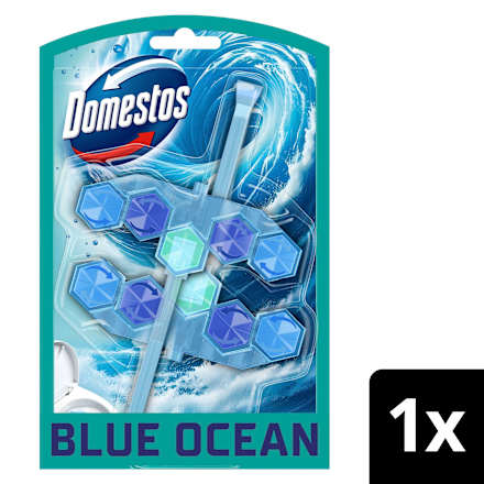 WC-Stein Blauspüler Ocean Domestos