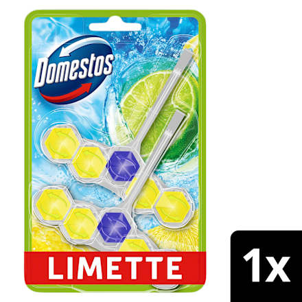 WC-Stein Limette  Domestos