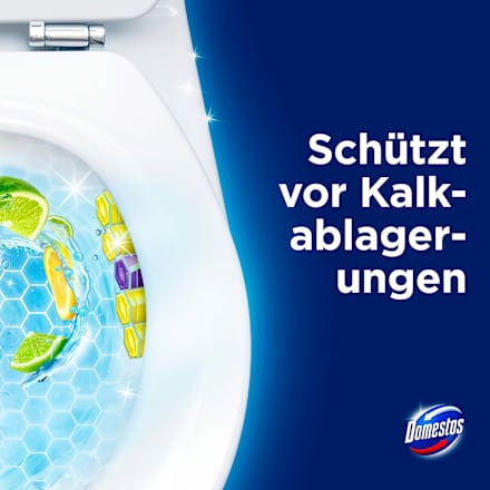 WC-Stein Limette  Domestos