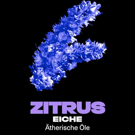 Bodyspray Purple Patchouli Citrus & Oak Scent AXE